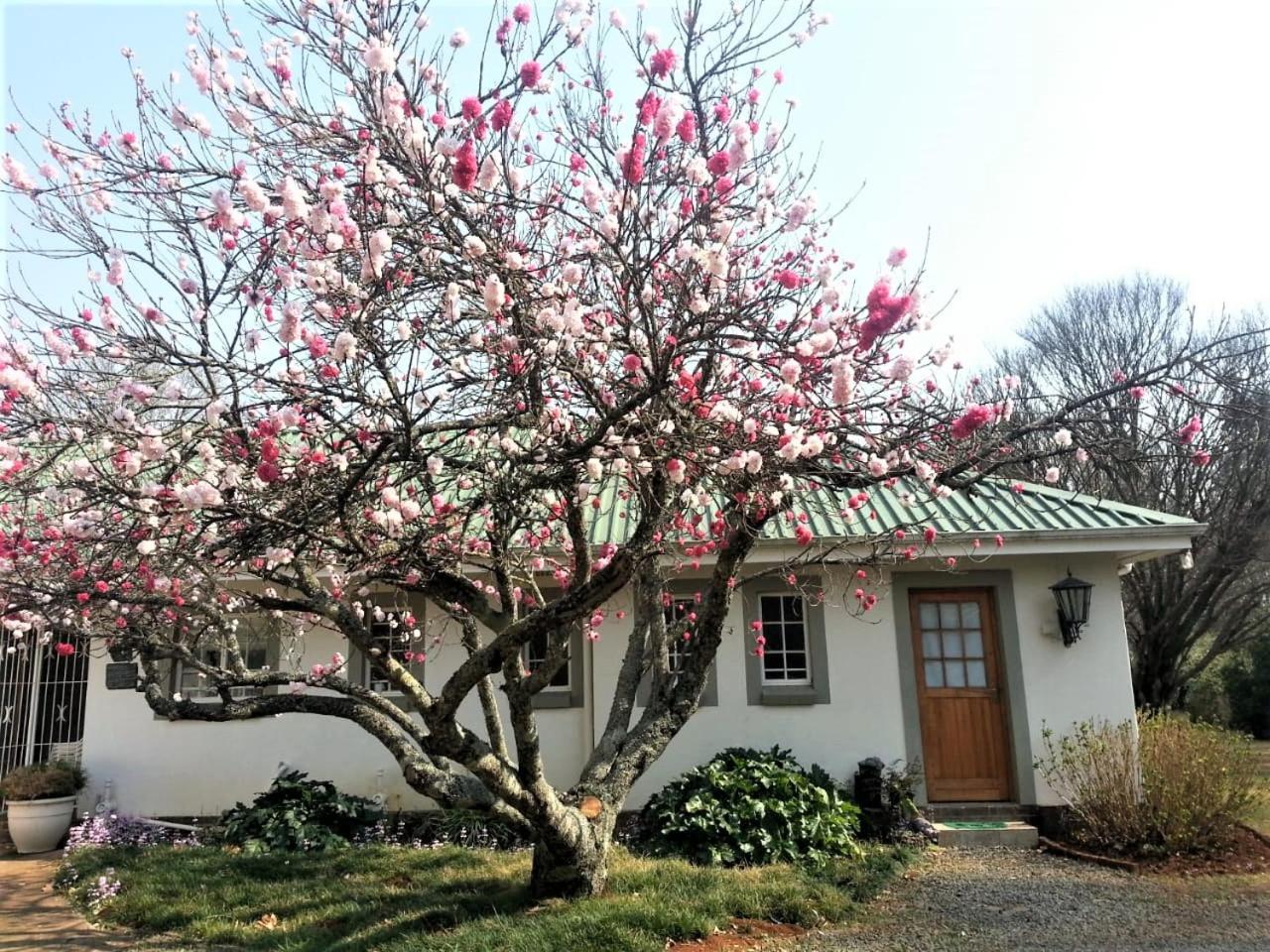 Sani Window B&B And Self Catering Underberg Exterior foto